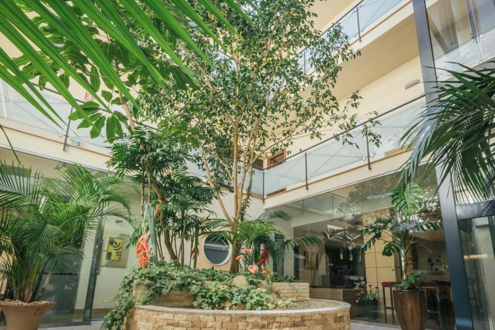 Hotel Costa Azul Balestrate Exteriér fotografie